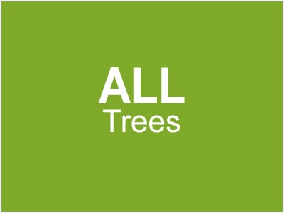 All Trees