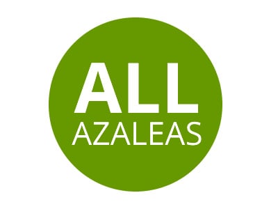 All Azalea Varieties