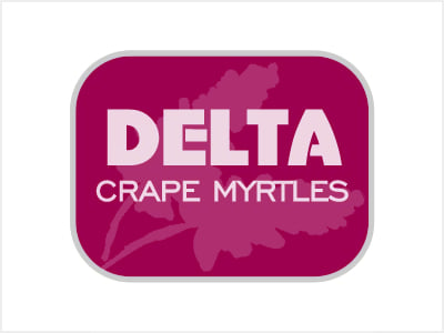 Delta Crape Myrtles