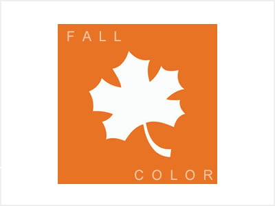 Fall Color Trees