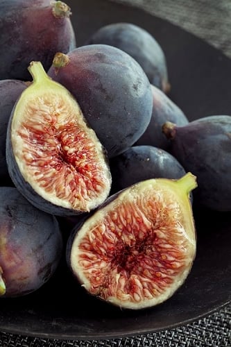 Chicago Cold Hardy Fig Tree - 1 Gallon Pot