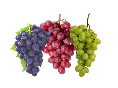 Fruit Vines