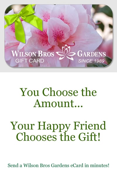 Wilson Bros Gardens eGift Card