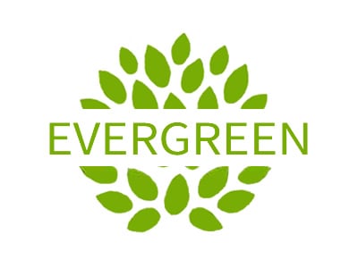 Evergreen Perennials