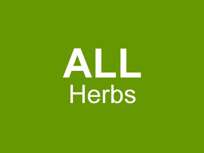 All Herb Plants