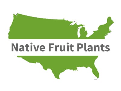 North American Native Fruit Plants