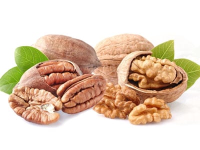Nut Trees | Edible