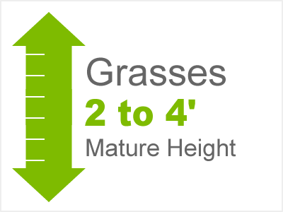 Grasses 2 to 4' Mature Height