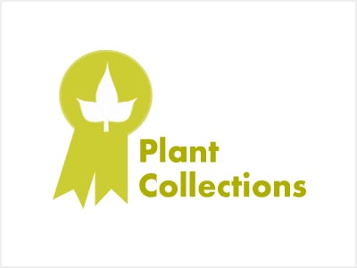 PLANT COLLECTIONS