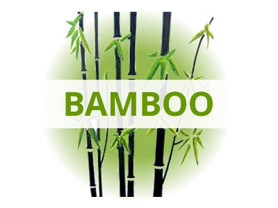 Shop Bamboo By USDA Zone