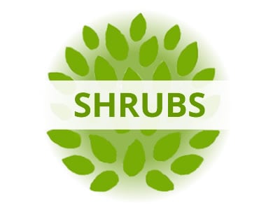 Shop Shrubs By USDA Zone