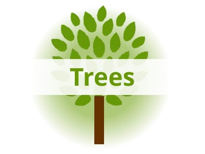 Shop Trees By USDA Zone