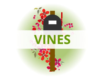 Shop Vine Plants By USDA Zone