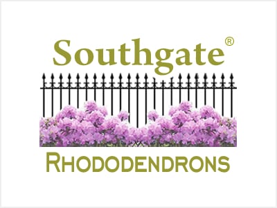 Southgate Rhododendron Series