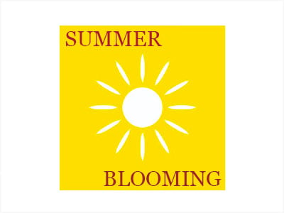 Summer Blooming Clematis