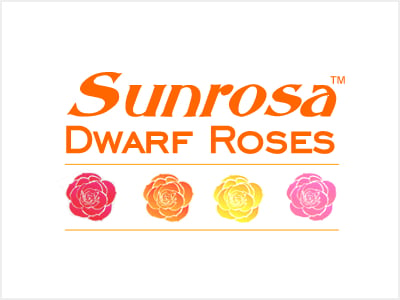 Sunrosa Rose Collection