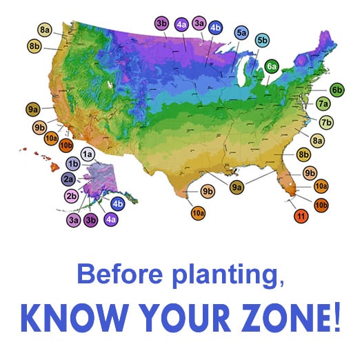 USDA Plant Hardiness Zones Map